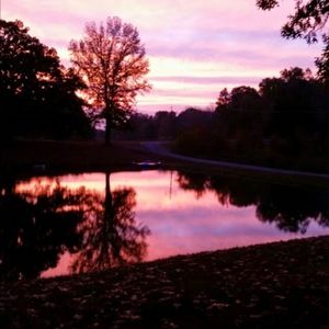 Meet your Posher, Misty